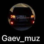Gaev_muz