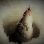 FISHING.UA