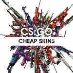 CS:GO Cheap Skins by NN