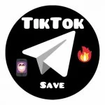 TikTok Save Bot
