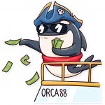 Orca 88 the pirate!