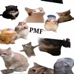 PersikMemesFactory(PMF)