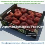Agromarket/Moscow-FoodCity