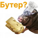 Свинья-Кулинар