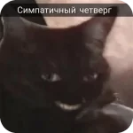 Неделька с котиками