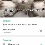 Блог о кошках и котятах