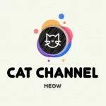 Cat Channel