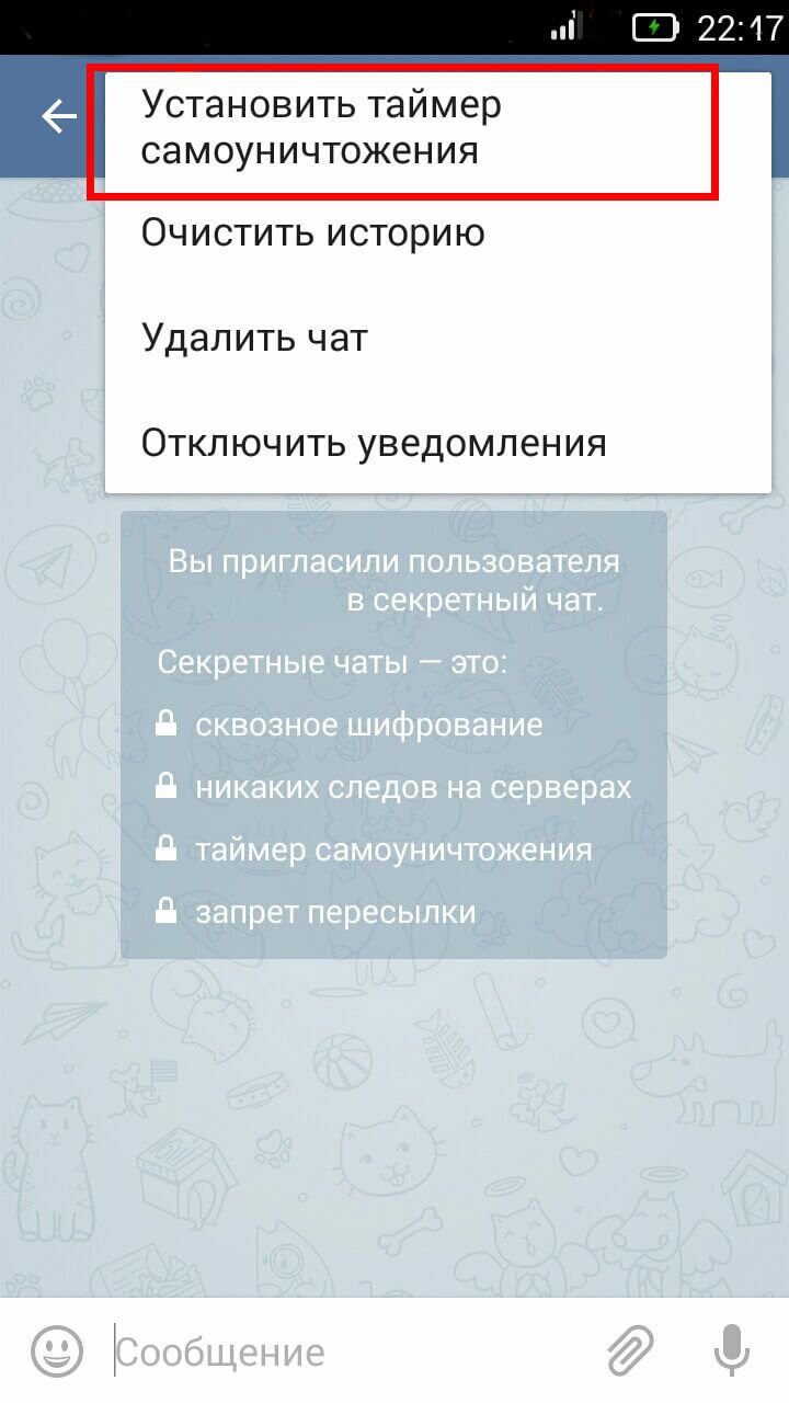 Как удалить чат в телеграмме. Секретный чат в телеграмме. Секресерый чат в телеграм. Таймер в телеграмме. Секруиные сообщения в телеграме.