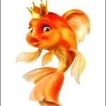 Прикольные видео, фото.