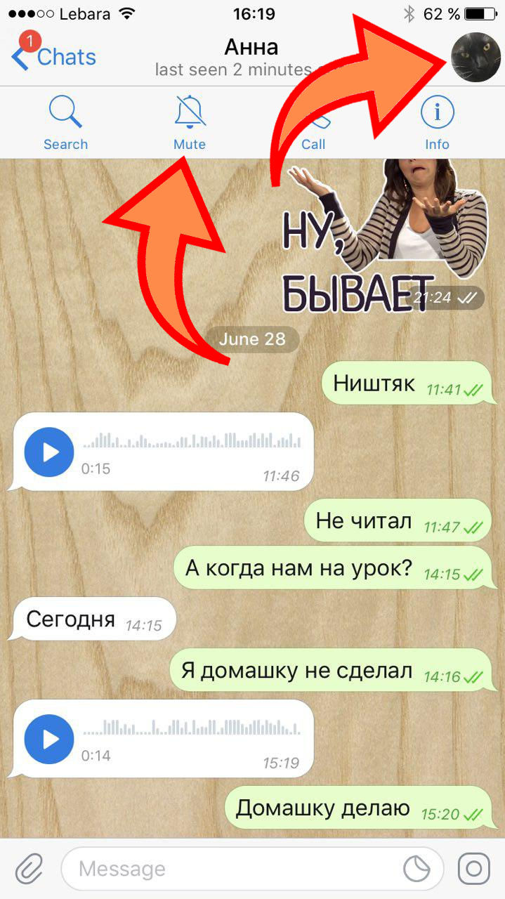 Уведомления о контакте iphone