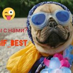 GIF BEST