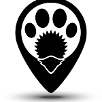 Ёжкин Кот. Кругосветное путешествие.