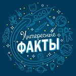 Интересные Факты
