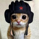 Сарказмы на злобу дня