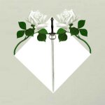 Оружие человечества