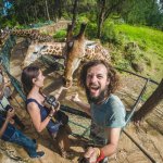 Путешествия по жизни hftravel