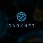 Сливы курсов