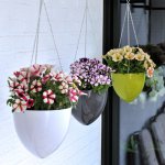 Балконный сад