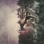 То, что понравится тебе