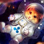 КриптоХомячки