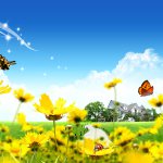 Моя поэзия.