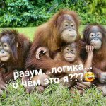 Парадокс Мамы