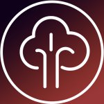 Смелый Выбор