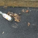 Хроники разложения