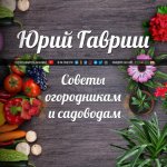 Cоветы огородникам и садоводам