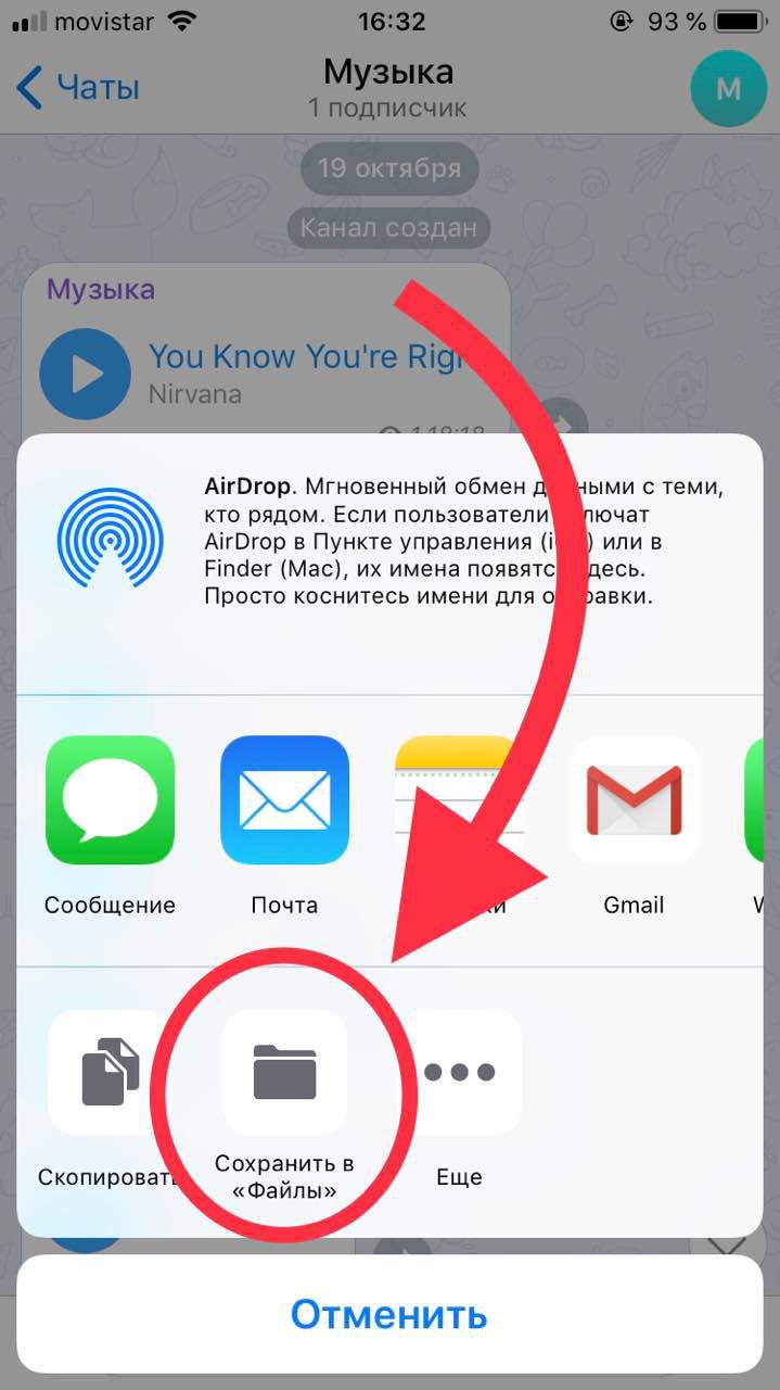 Как сохранить в телеграме. Как сохранить музыку в телеграмме на айфоне. Где хранятся файлы телеграмма на айфоне. Как сохранить музыку в телеграмме. Куда сохраняется видео с телеграмма на айфоне.