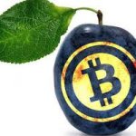 Криптосливы