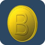 Bitcoin Report
