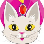 Allibabuy for Women ?