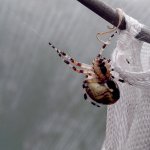 Фотошоп - моя жизнь