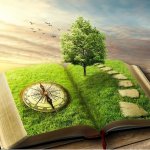 Заметки психолога