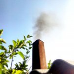 В поисках счастья