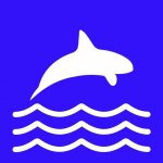 Крипто Косатка