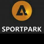 Дневник тренировок