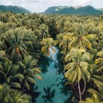 ПОРА В ОТПУСК