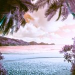 Инвестиции с Ganesa