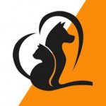 Собаки ищут дом. СПб.