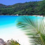 Работа и отдых