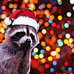 Мемчики, конкурсы и многое другое)