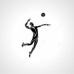 Новости волейбола