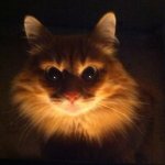 Твой правильный путь начнется здесь!