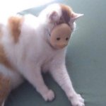 Рандомная Пачка