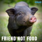 ВЕГАНСТВО И ВСЕ ТАКОЕ