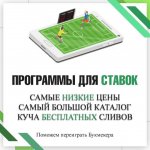 Программы для ставок