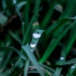 Дневник фотографа