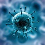 Свежие новости | Коронавирус